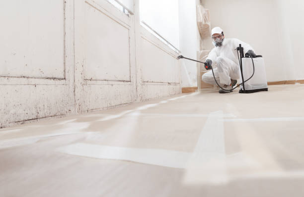 24/7 Emergency Mold Remediation experts in North Wales, PA