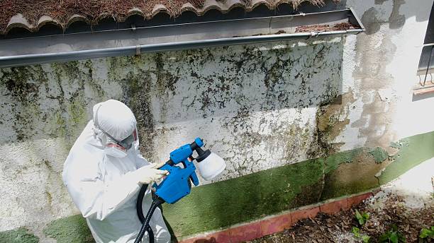 Top rated local Mold Remediation specialists in North Wales, PA
